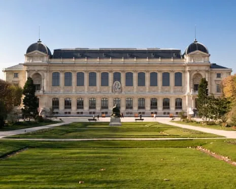 Invaluable Gold Pieces Snatched in Daring Heist at French National Museum