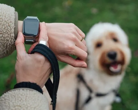 The Reality Concerning Smartwatches? Living Is Better Without a Hectoring Gadget on Your Arm